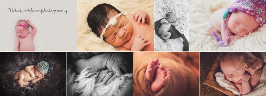 Lake Bluff, IL Newborn Photographer