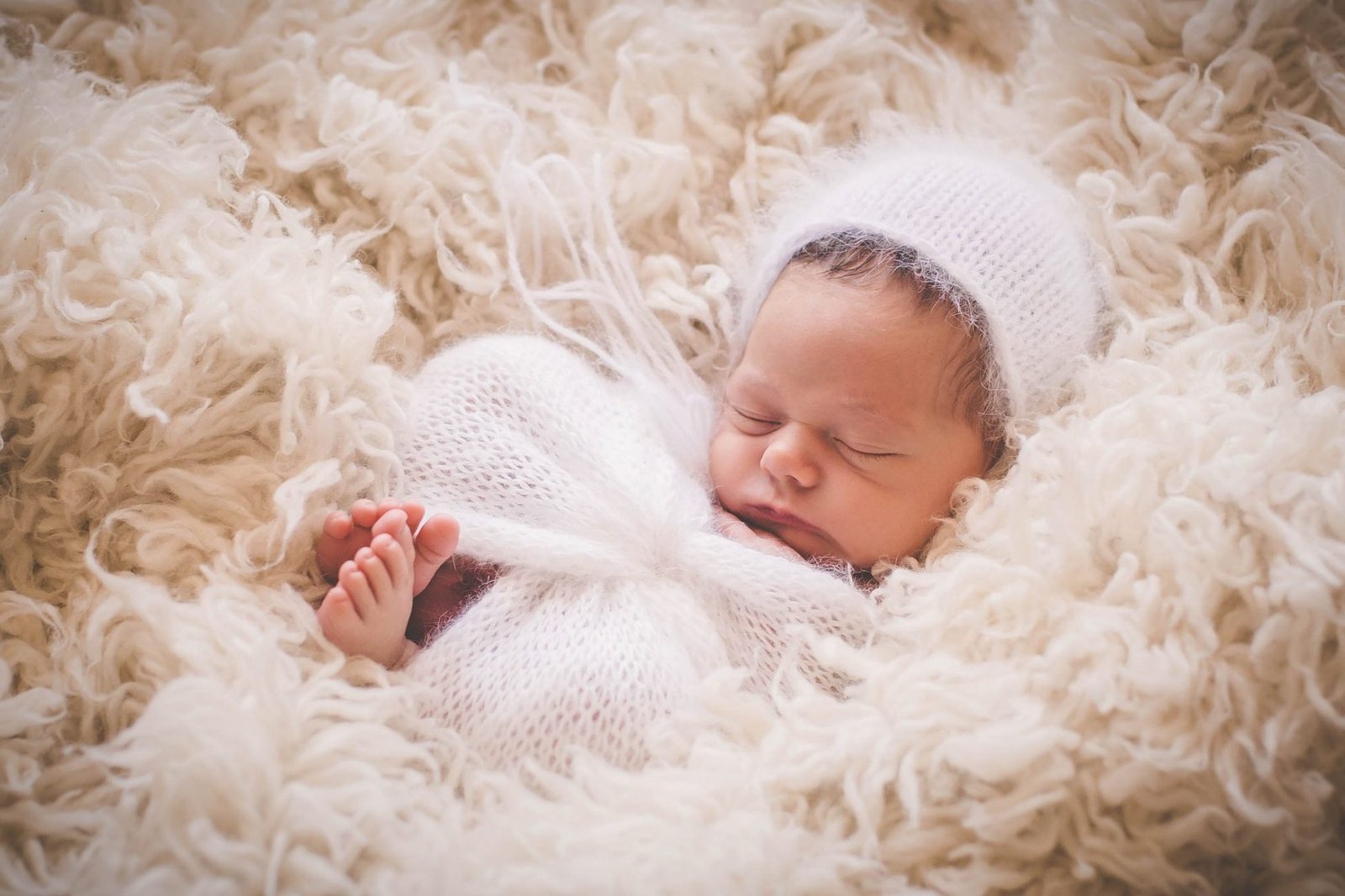 Lake County, IL Newborn Photographer