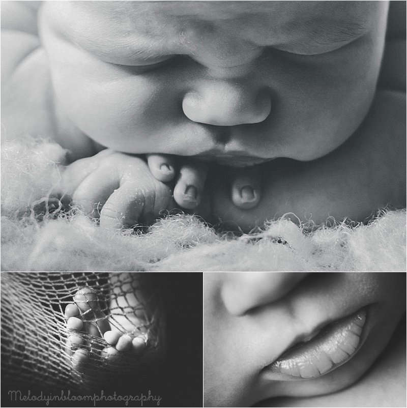 Chicago, IL Newborn Photographer