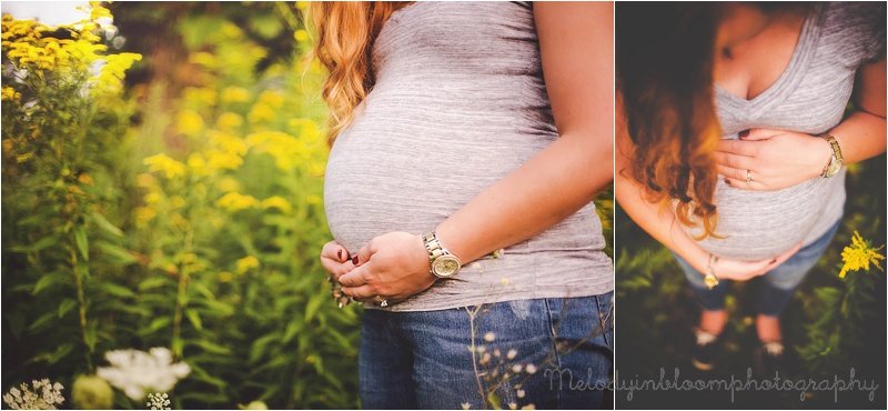 Wadsworth, IL Maternity Photographer