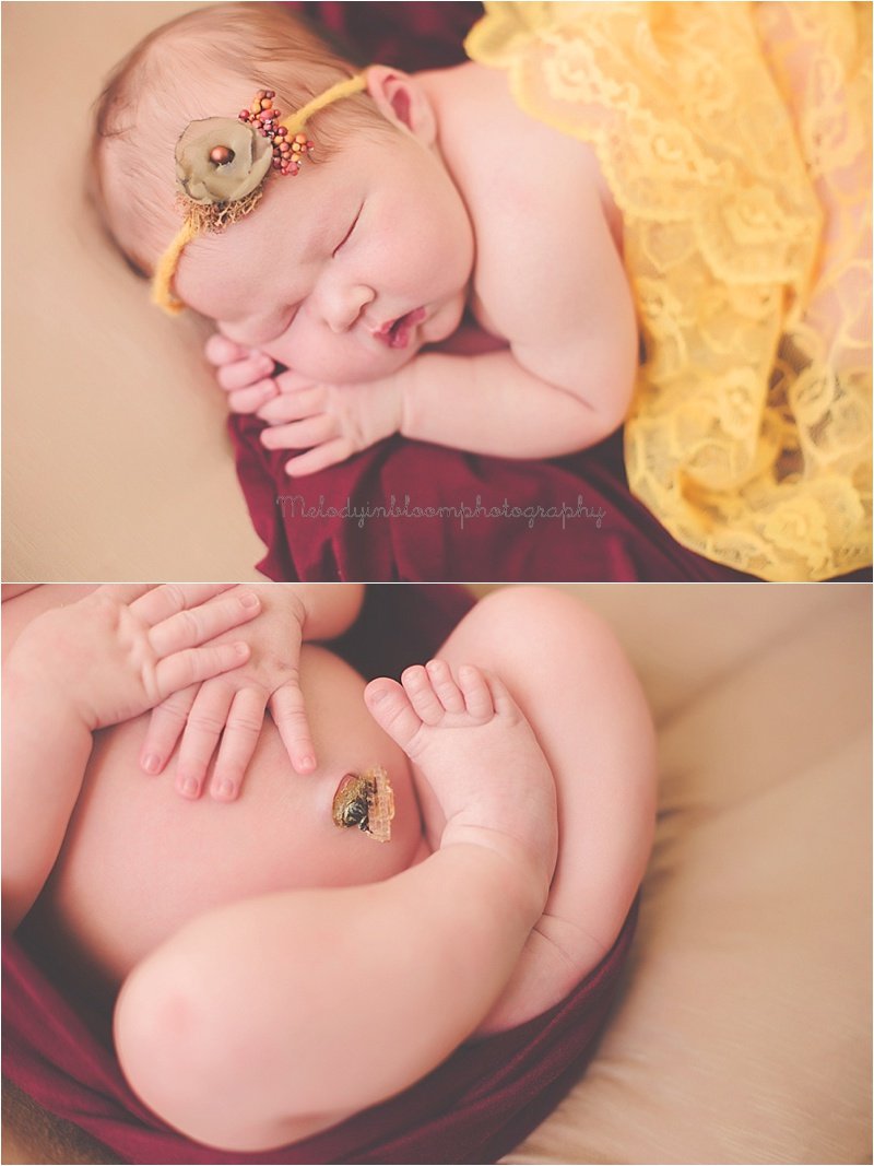 Lake Villa, IL Newborn Photographer