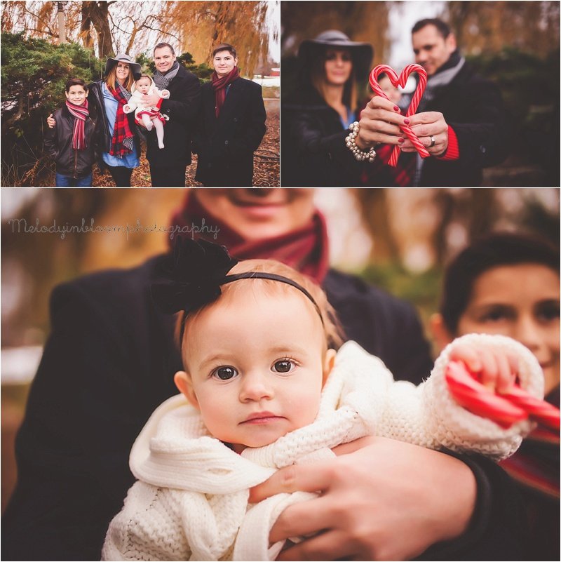 Cook County, IL Family Photographer
