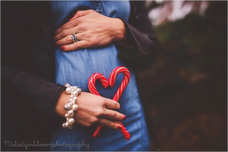 Cook County, IL Family Photographer