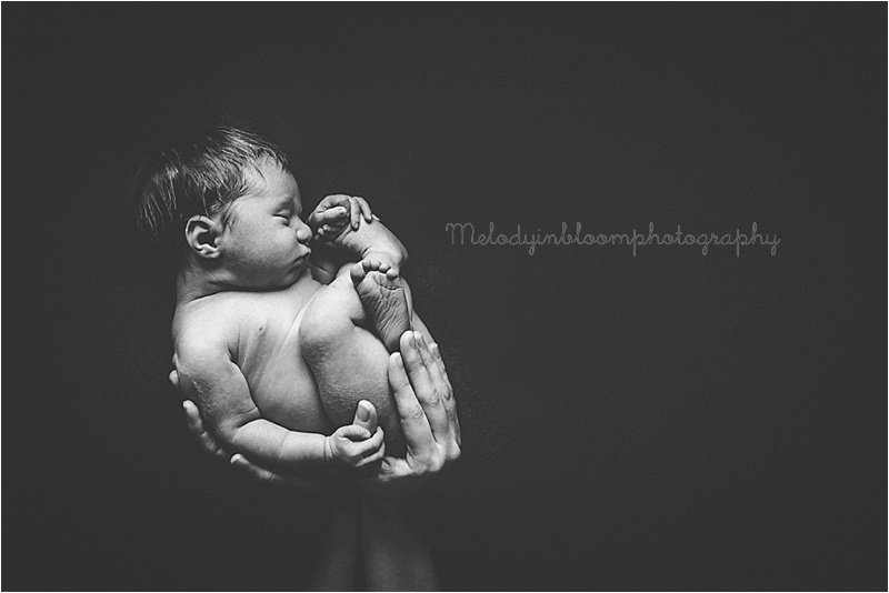 North Brook, IL Newborn Photographer