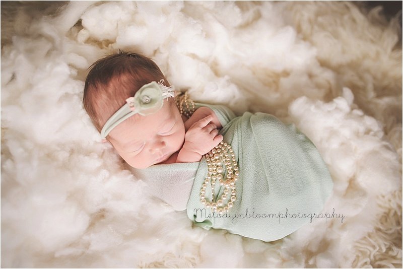 Mundelein, IL Newborn Photographer