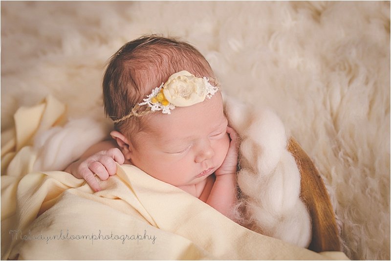 Mundelein, IL Newborn Photographer