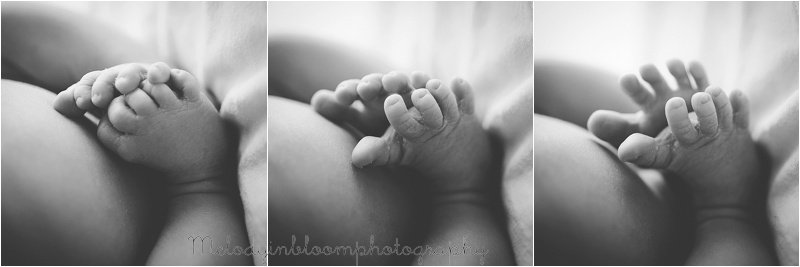 Vernon Hills, IL Newborn Photographer