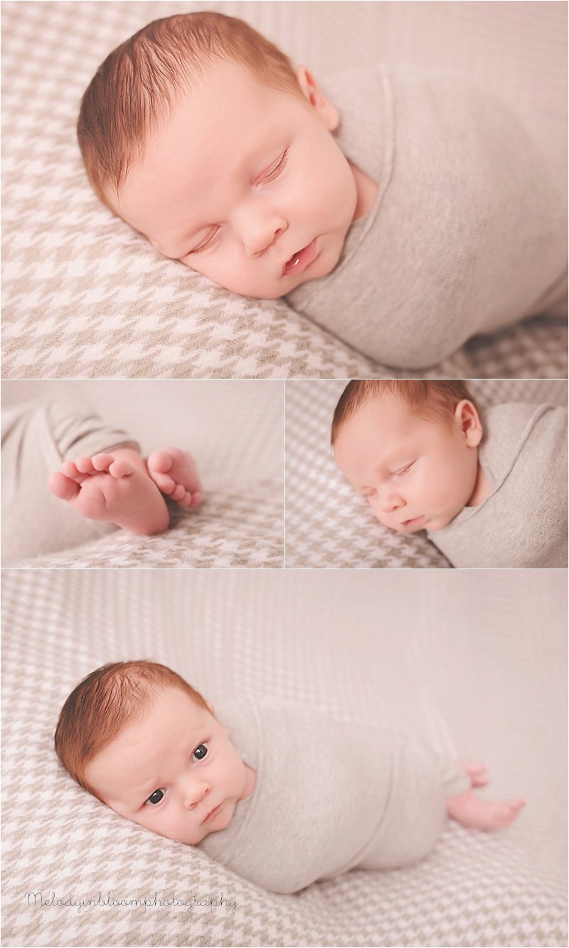 Libertyville, IL Baby Photographer