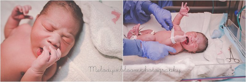 Libertyville, IL Birth Photographer