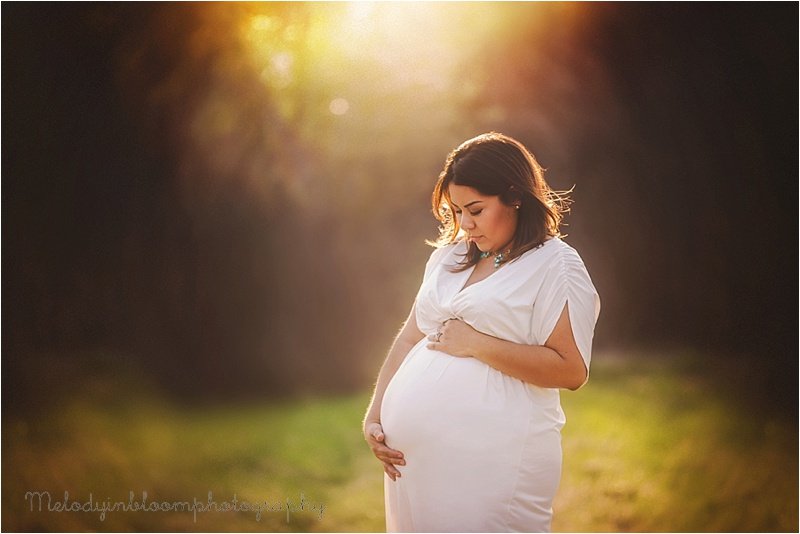 Lake Villa, IL Maternity Photographer