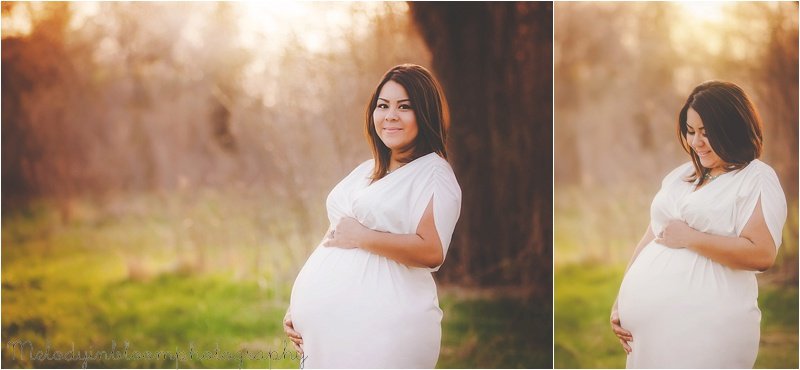 Lake Villa, IL Maternity Photographer