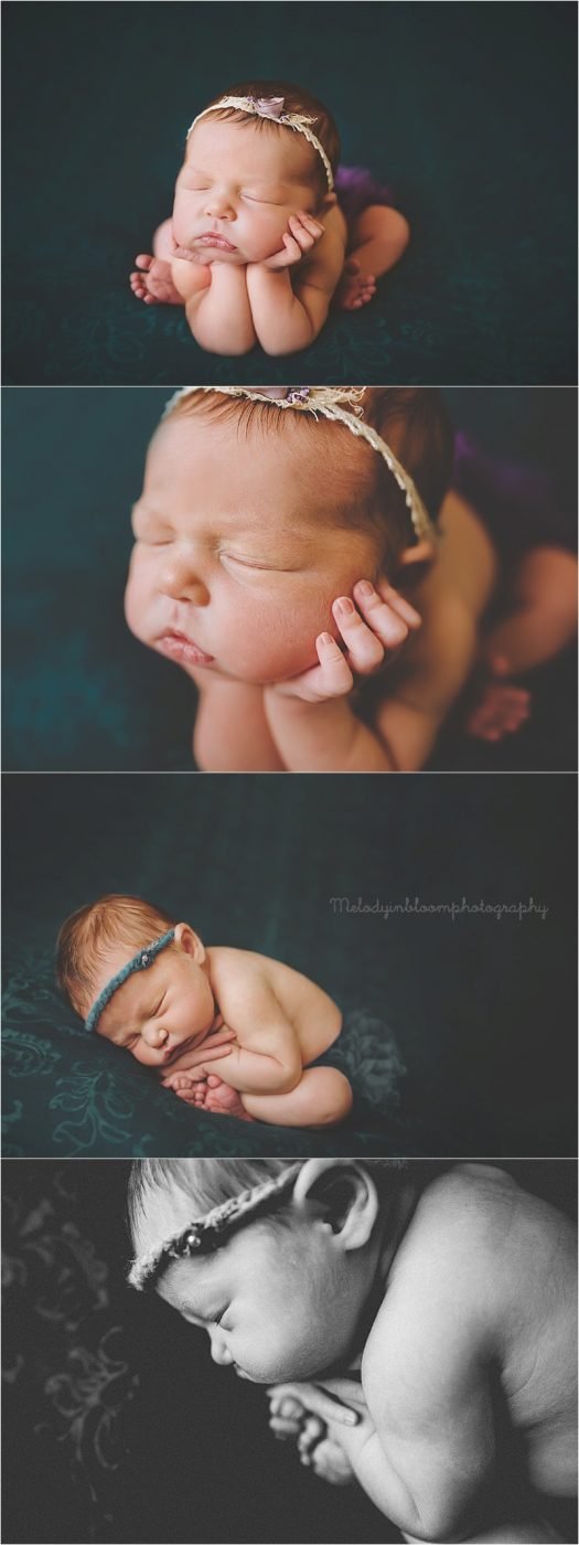 Everett, WA Newborn Photographer