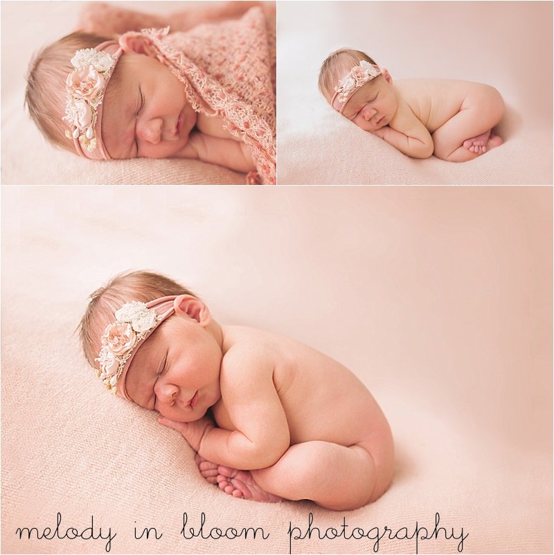 Whatcom County Newborn Photographer