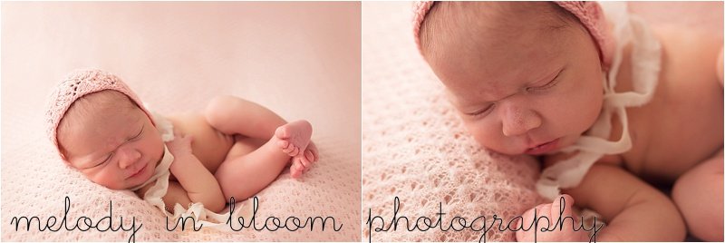 Whatcom County Newborn Photographer