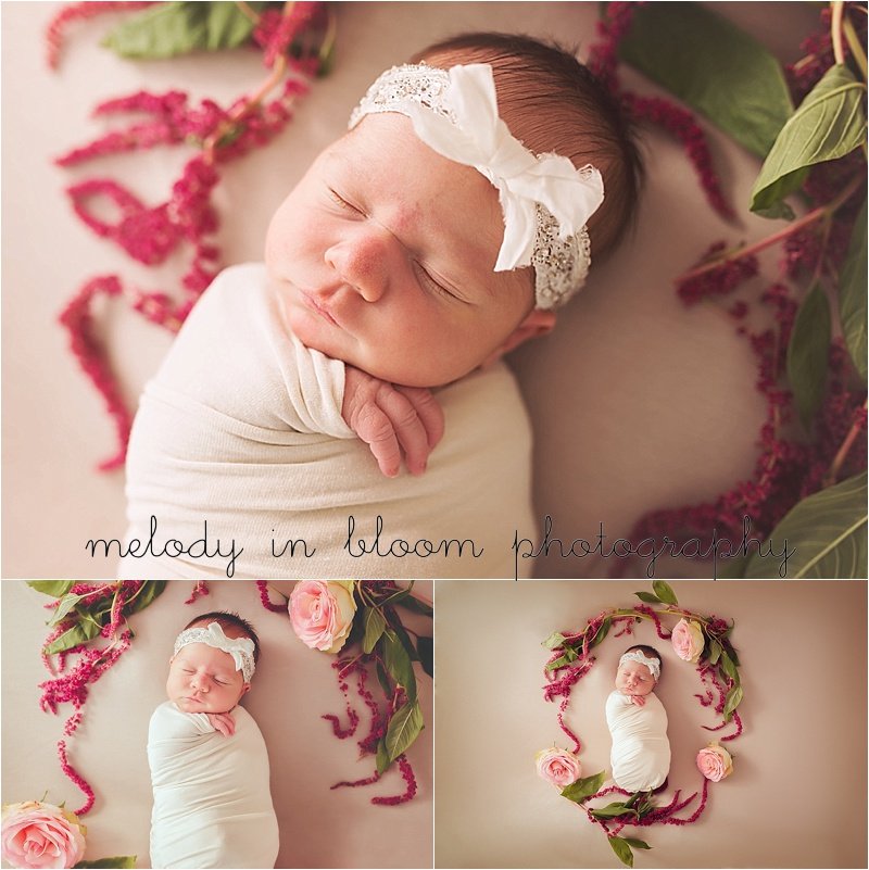 Whatcom County Newborn Photographer