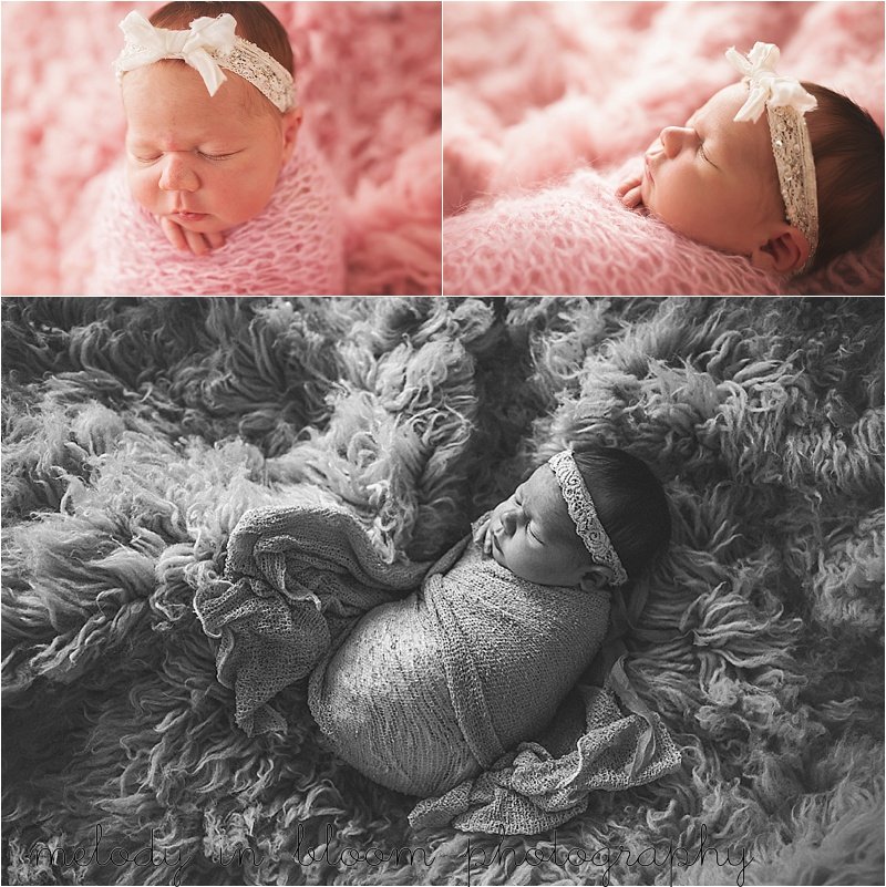 Whatcom County Newborn Photographer