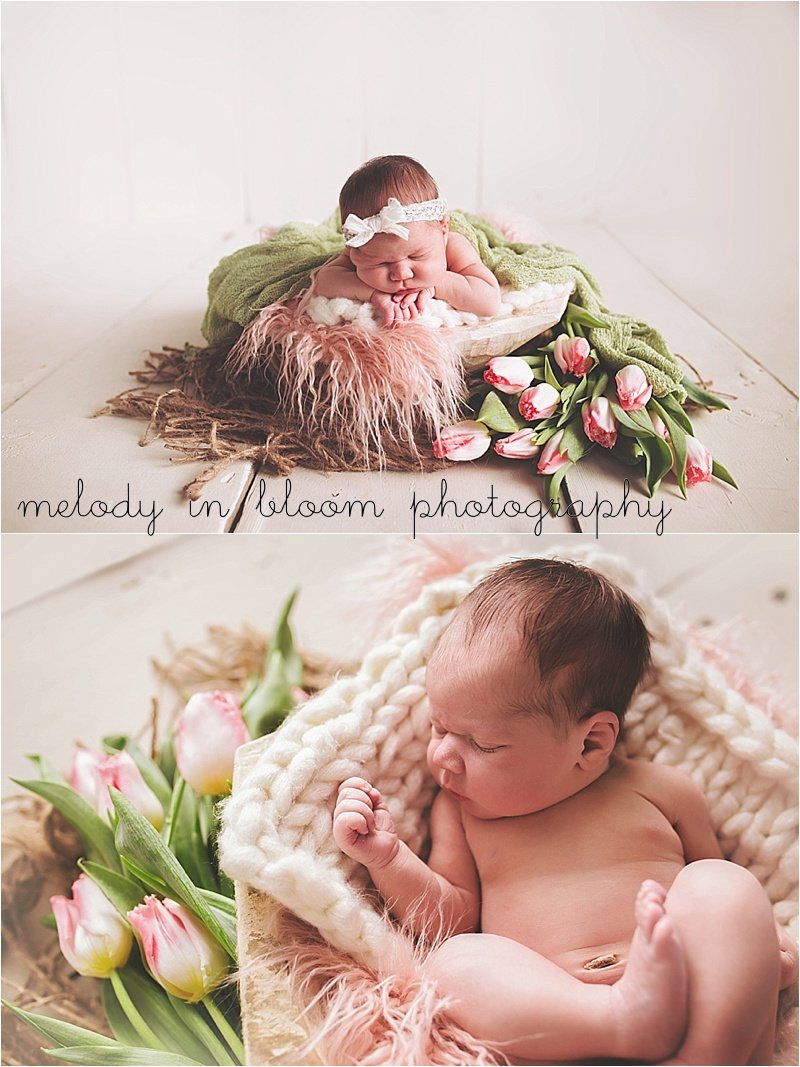 Whatcom County Newborn Photographer