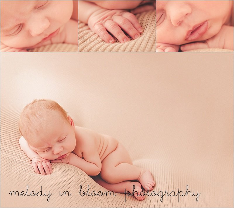 Arlington, WA Newborn Photographer