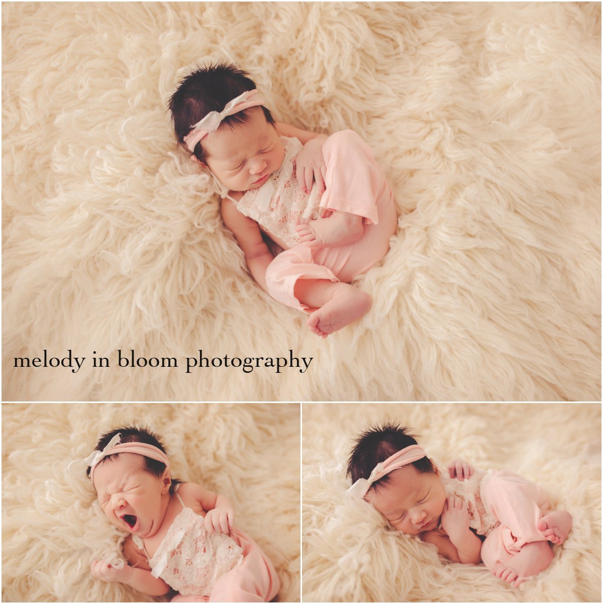 Bellingham Newborn Photographer