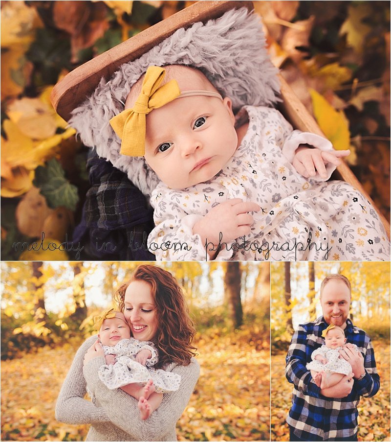 Skagit Newborn Photographer