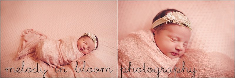 Skagit Valley Newborn Photographer