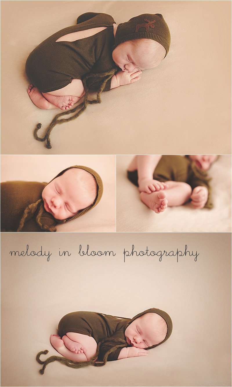 Skagit Valley, WA Newborn Photographer