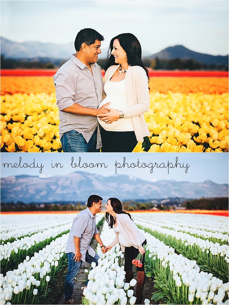 Skagit Tulips Photographer