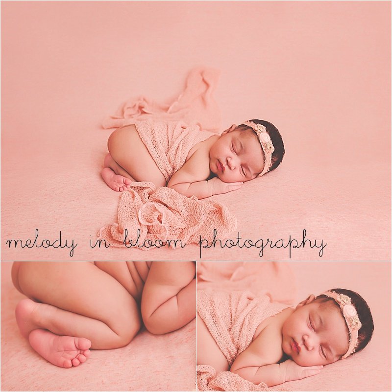 Skagit Newborn Photographer