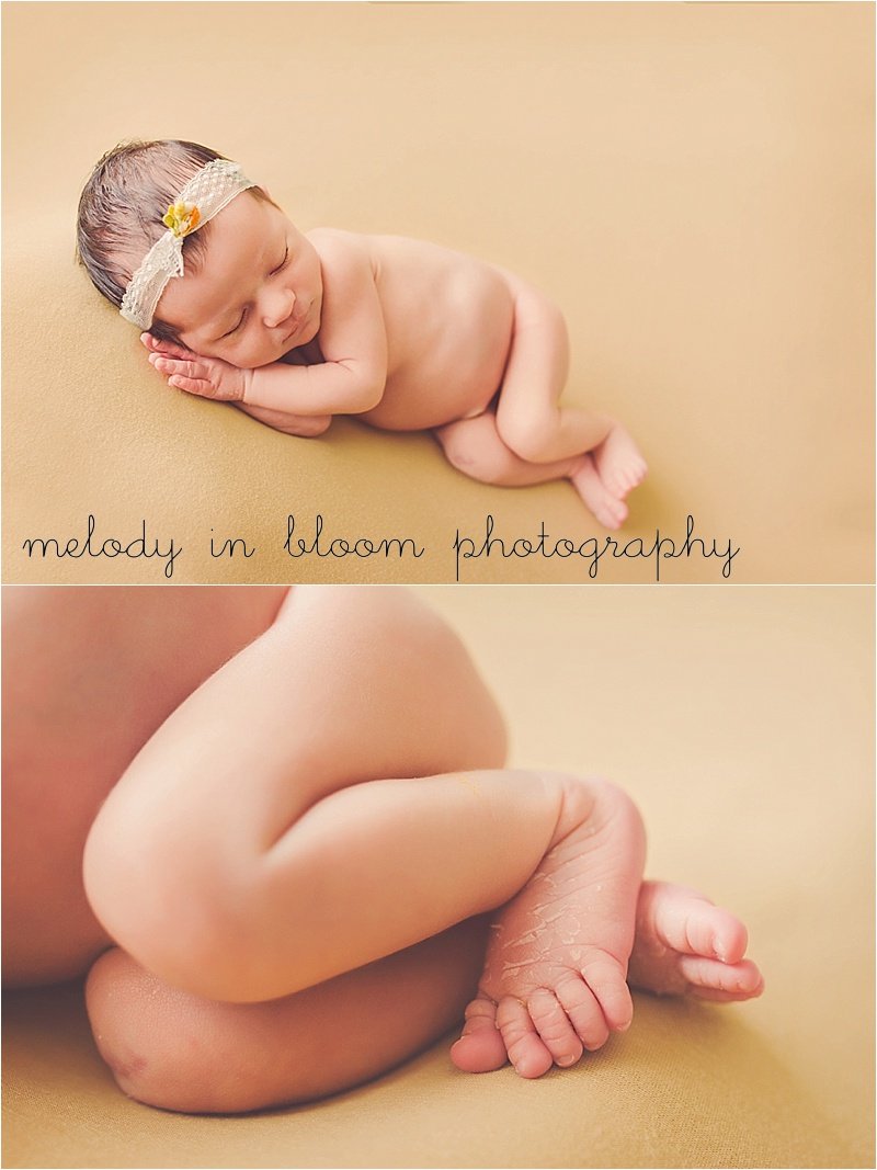 Seattle Newborn Photographer