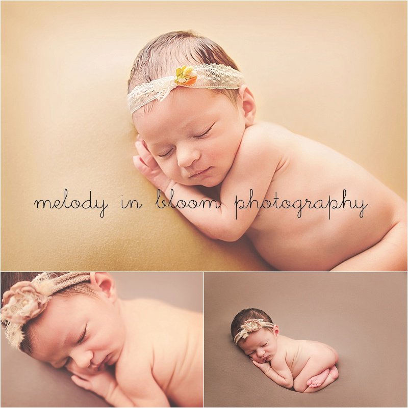 Seattle Newborn Photographer