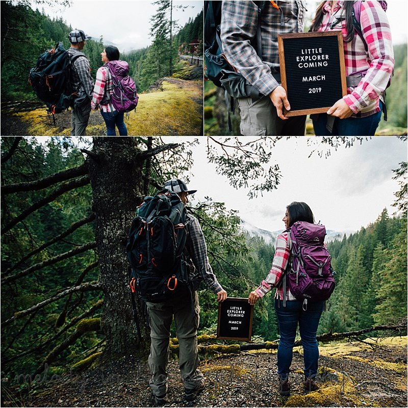 Mount Baker, WA Photographer