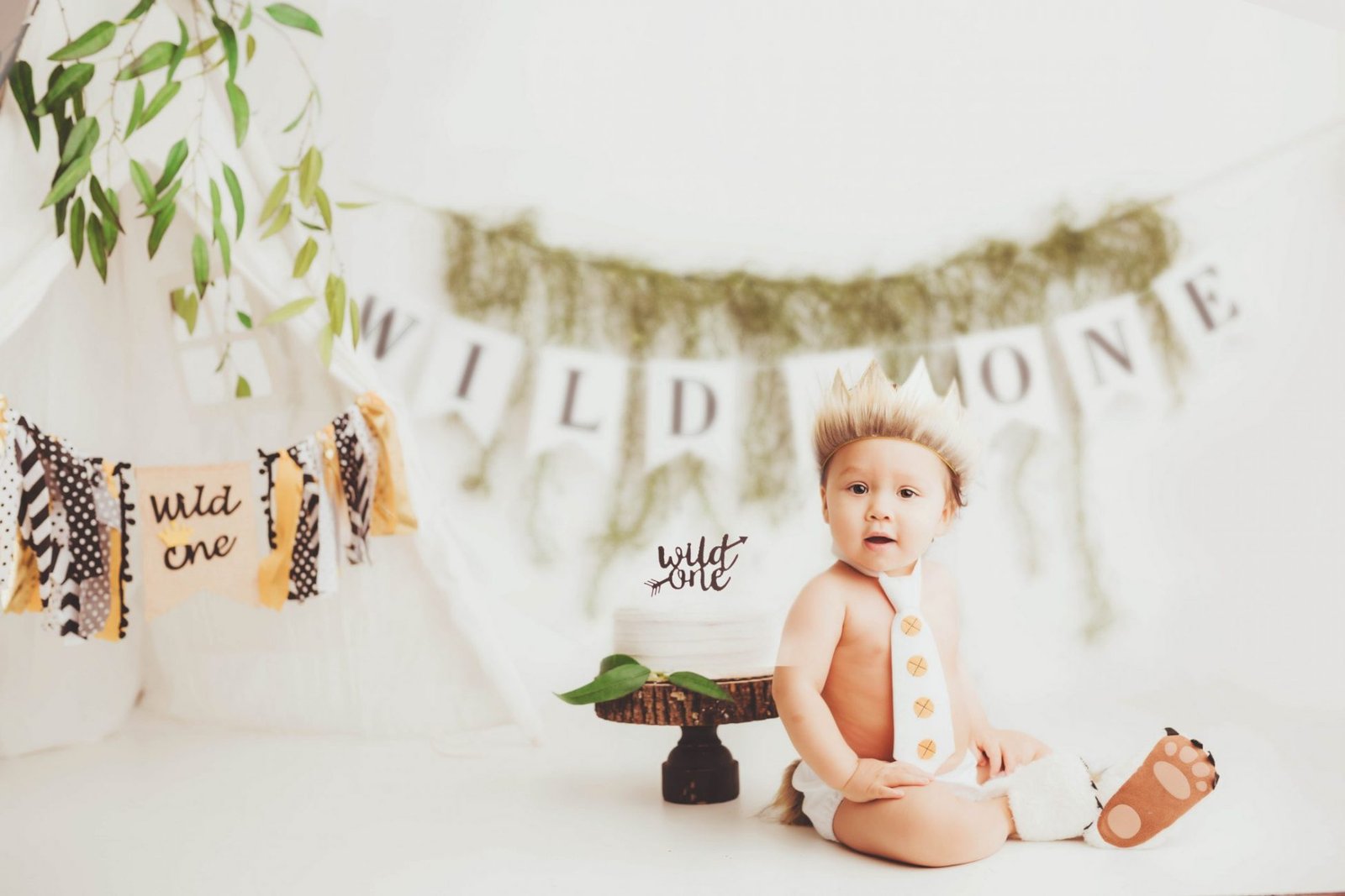 Skagit County Cake Smash Photographer