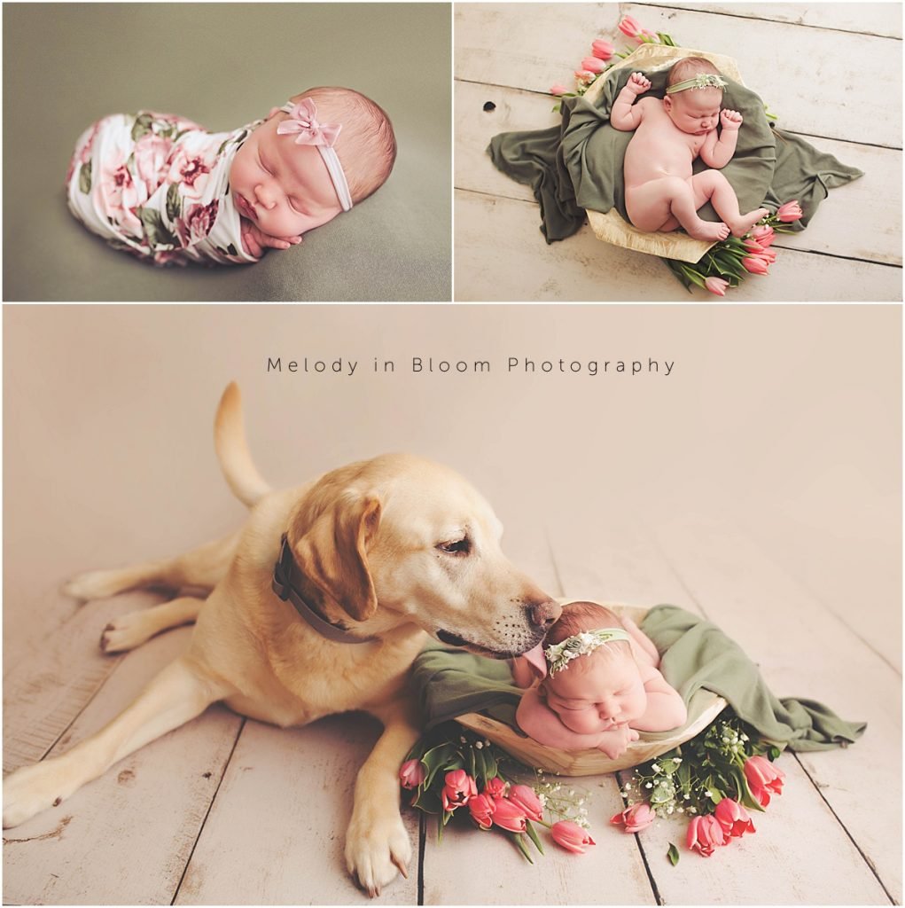 Santa Paula, CA Newborn Session