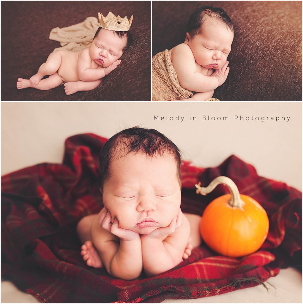 Newbury Park Newborn Photographer