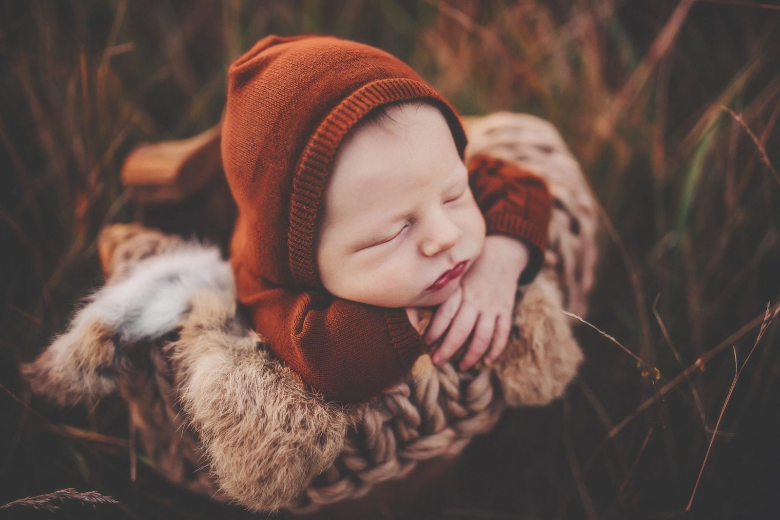 Natural light newborn portrait with parents - Thousand Oaks family photographer