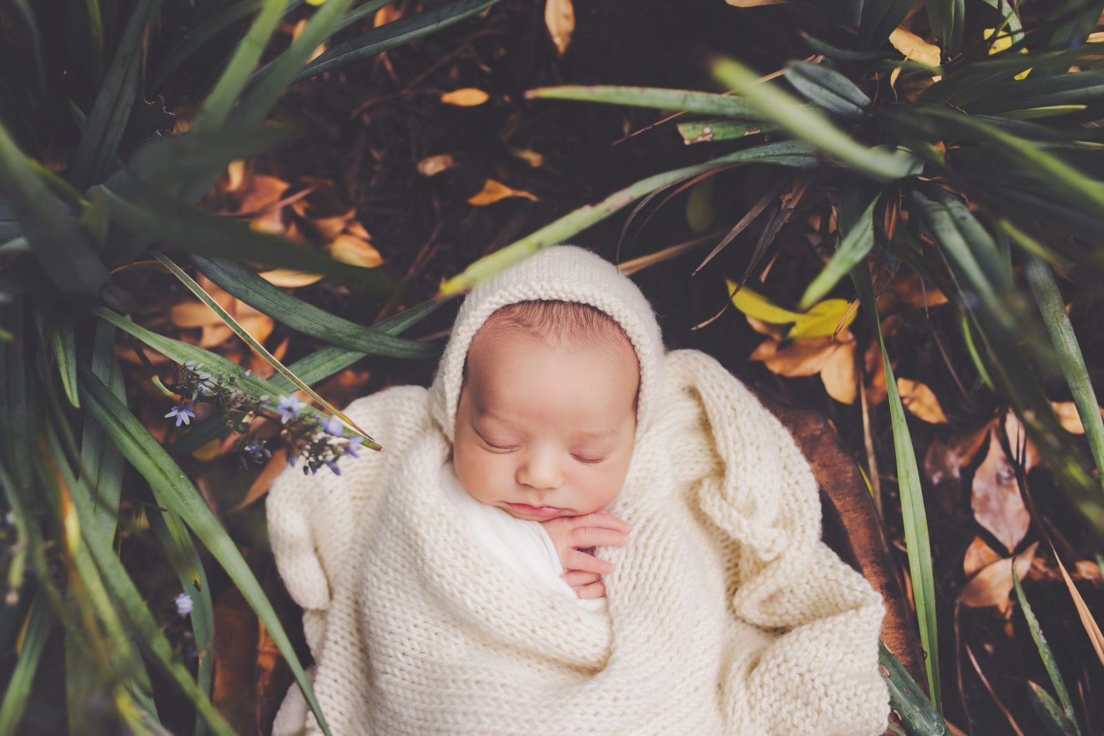 Ventura County Newborn Photographer