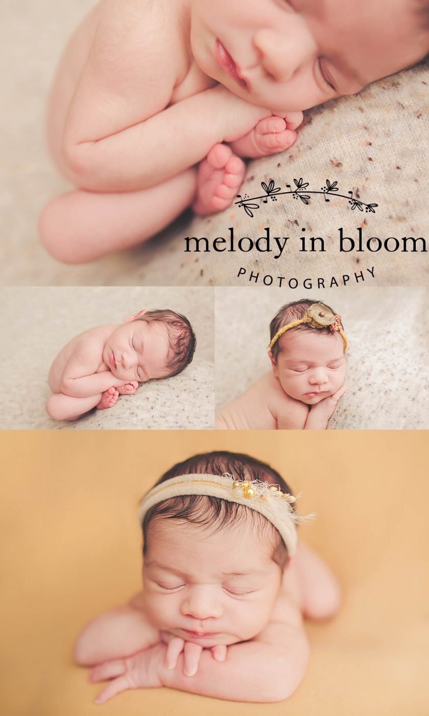 Thousand Oaks Newborn Photographer