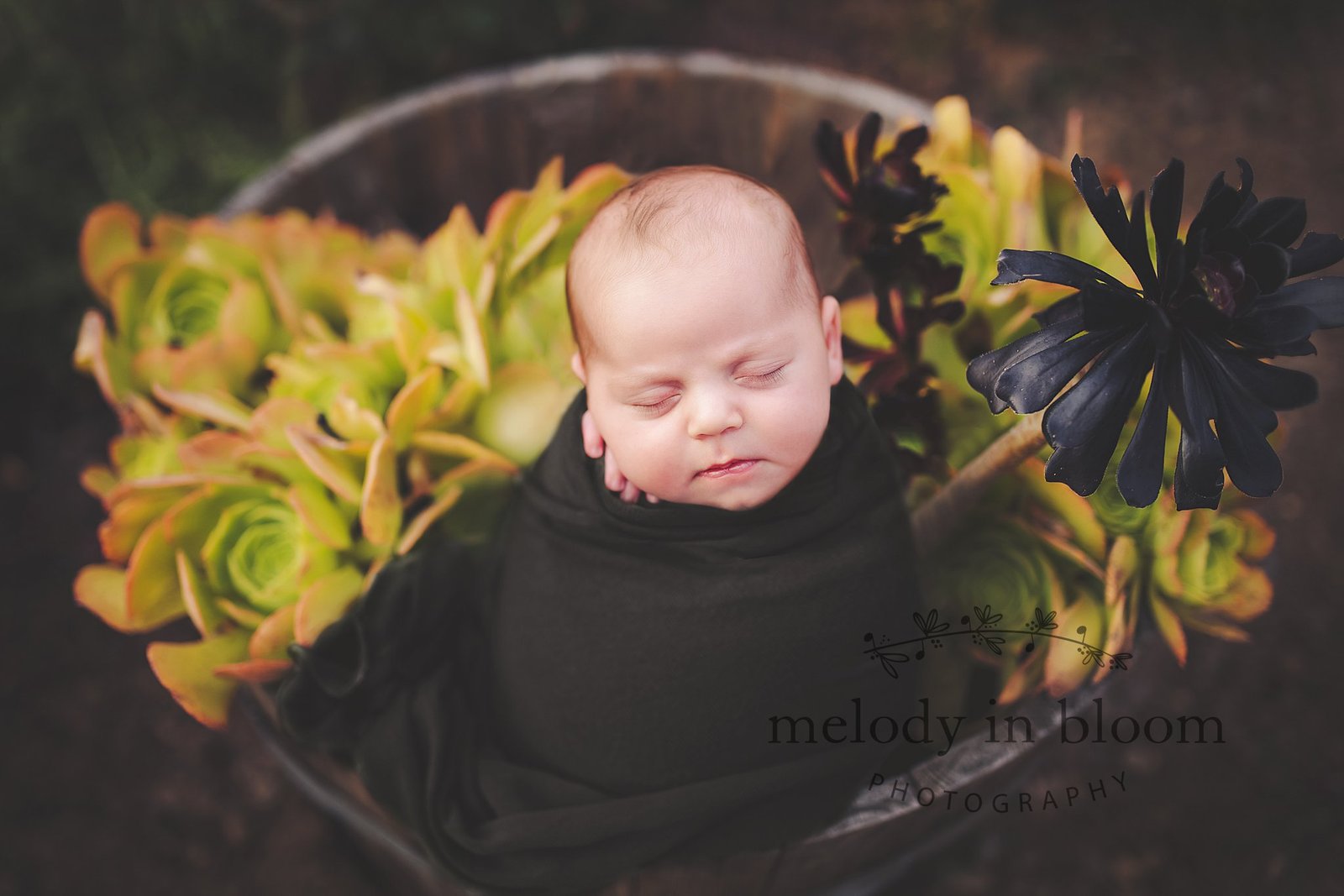 Studio newborn portrait with soft blankets - Ventura County newborn photography