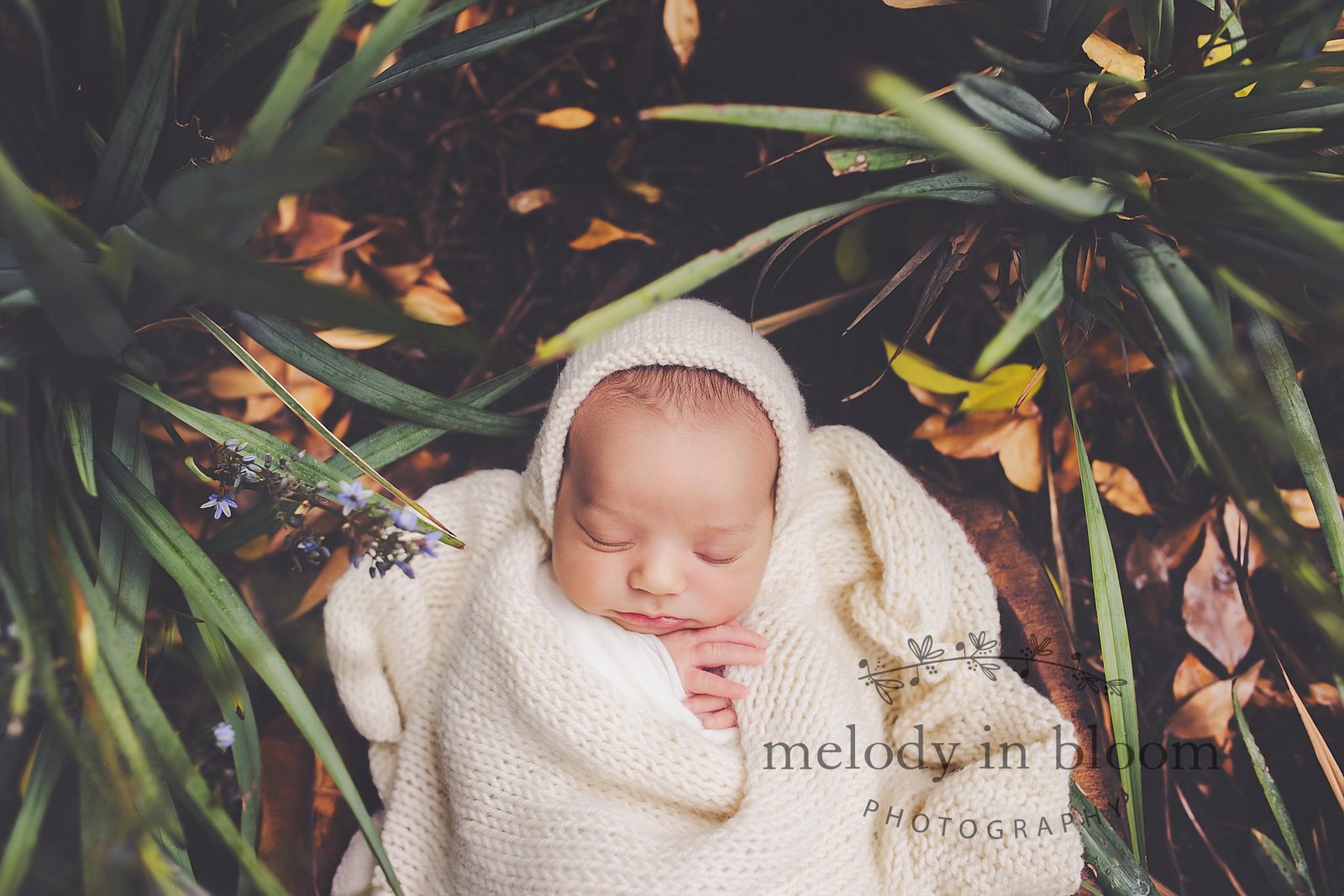 Newbury posed in garden. Ventura Newborn Photographer.