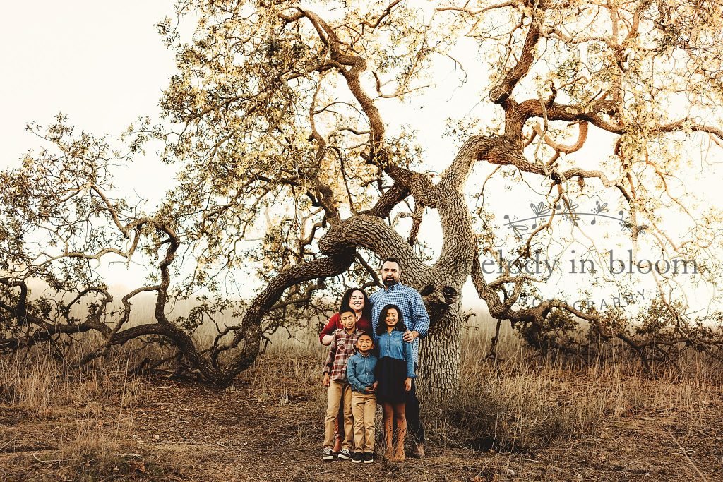 Hidden Valley Family Photographer